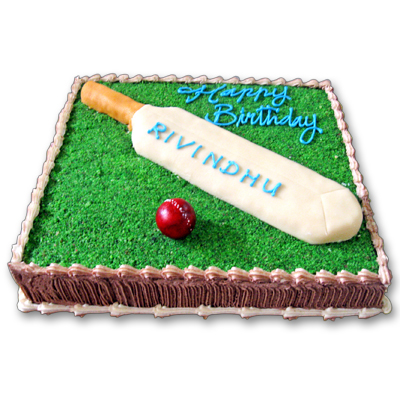 Cricket Pitch Cake