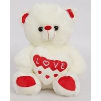 Lovely Soft Teddy