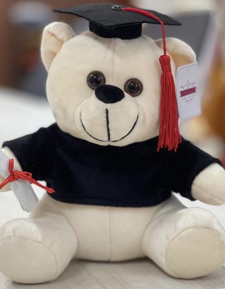 Graduation Teddy Bear