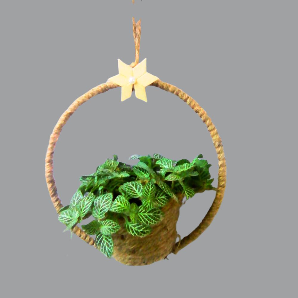 Plant Wall Hanging -HWP014