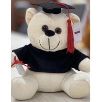 Graduation Teddy Bear