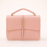 Blush Pink Minimalist Flap Bag