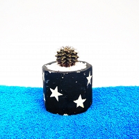 Cactus Plant -0021