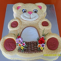 Teddy Bear Cake